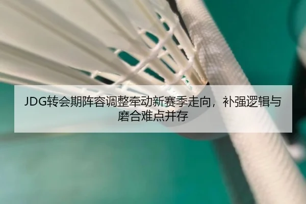 JDG转会期阵容调整牵动新赛季走向，补强逻辑与磨合难点并存（yingjiatiyu）