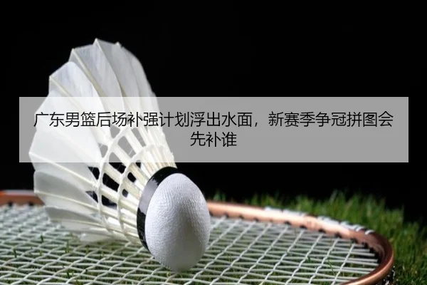 广东男篮后场补强计划浮出水面，新赛季争冠拼图会先补谁 - yingjiatiyu
