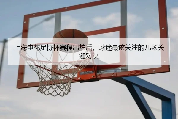上海申花足协杯赛程出炉后，球迷最该关注的几场关键对决（yingjiatiyu）